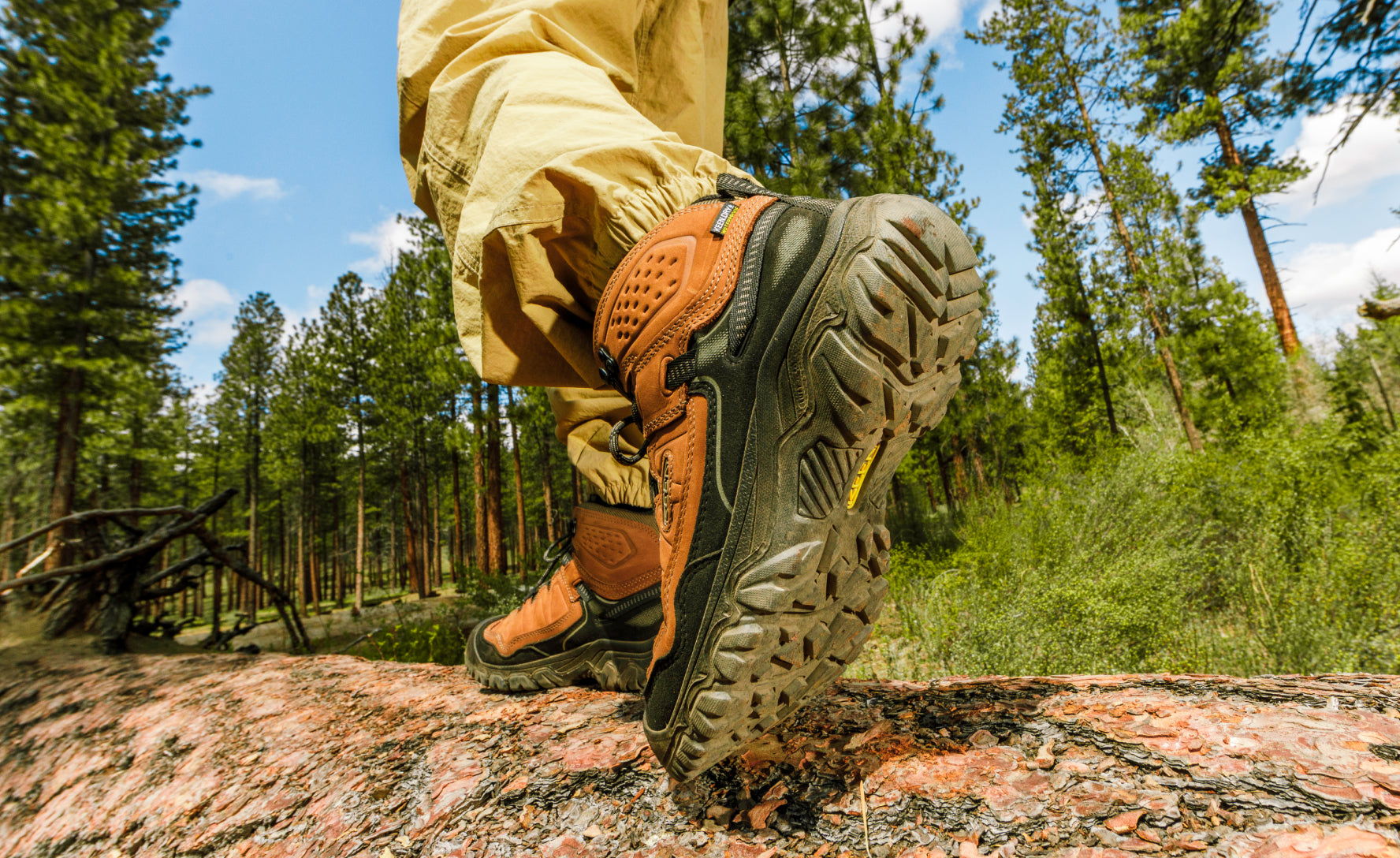 Men's Targhee IV Waterproof Hiking Boot | Tumbled Java - Image 7